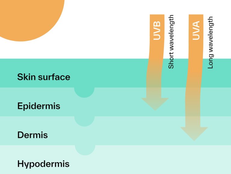 UVA and UVB — What's The Difference? - SkinLab